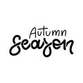 Autumn season - black lettering quote isolated on white background, Hand drawn vector illustration for fall cards Royalty Free Stock Photo