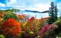 Autumn season on blue ridge parkway Royalty Free Stock Photo