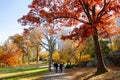 Autumn season at Central Park, new york city Royalty Free Stock Photo