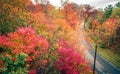 Autumn season and color changing leaves season