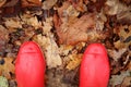 Autumn season concept image of wellington boots standing amongst brown leaves Royalty Free Stock Photo