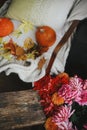 Autumn season in countryside, rural slow life. Beautiful pumpkins and leaves on cozy rustic chair, wooden bench and colorful