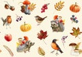 Autumn season decor seamless pattern. Watercolor painted illustration. Hedgehog, backyard birds, forest mushrooms