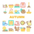 autumn season fall leaf icons set vector Royalty Free Stock Photo