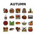 autumn season fall leaf nature icons set vector Royalty Free Stock Photo