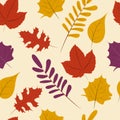 Autumn season, Fall leaf seamless pattern background
