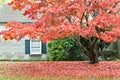 Autumn season - family house with front yard Royalty Free Stock Photo