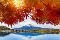 Autumn Season and Fuji mountain at Kawaguchiko lake, Japan