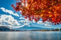 Autumn Season and Fuji mountain at Kawaguchiko lake, Japan