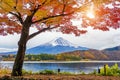 Autumn Season and Fuji mountains at Kawaguchiko lake, Japan