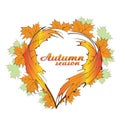 Autumn season heart leafs icon vector design