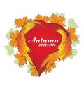 Autumn season heart leafs icon vector design