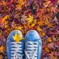 Autumn season in hipster style shoes