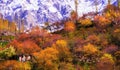 Autumn season in Hunza Valley, Pakistan Royalty Free Stock Photo