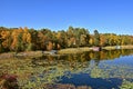 Autumn season on lake with lily pads and boats on docks Royalty Free Stock Photo