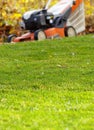 Autumn season, lawn mowing in the garden. Royalty Free Stock Photo