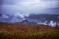 autumn season leaves color change in showa-shinzan vulcano hokkaido japan Royalty Free Stock Photo