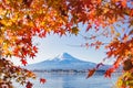 Autumn Season and Mountain Fuji with evening light and red leave Royalty Free Stock Photo