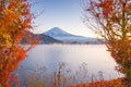 Autumn Season and Mountain Fuji with evening light and red leave Royalty Free Stock Photo