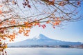 Autumn Season and Mountain Fuji with evening light and red leave Royalty Free Stock Photo