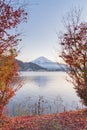 Autumn Season and Mountain Fuji with evening light and red leave Royalty Free Stock Photo