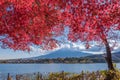 Autumn Season and Mountain Fuji at lake Kawaguchiko