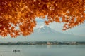 Autumn season and mountain Fuji in morning with red leaves maple Royalty Free Stock Photo