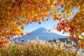 Autumn season of Mt. Fuji