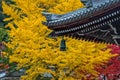 Autumn season in Nanzenji temple