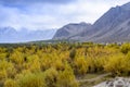 Autumn season in Pakistan Royalty Free Stock Photo