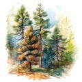 autumn vibe pine tree illustration
