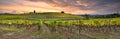 Autumn season. Spectacular vineyards in Tuscan countryside at sunset with cloudy sky in Italy Royalty Free Stock Photo