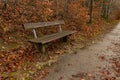 Autumn season time park outdoor nature scenic view with empty wooden bench without people outside surrounded by a lot of vivid Royalty Free Stock Photo