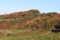 Autumn Season trees on different beautiful colors Royalty Free Stock Photo