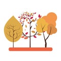 Autumn season trees and leaves nature cartoon