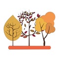 Autumn season trees and leaves nature cartoon