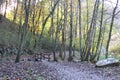 Beautiful view of Valley forest autumn season trees Royalty Free Stock Photo