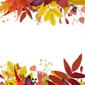 Autumn season Vector floral watercolor style card design border