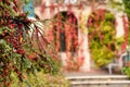 Autumn season in Vienna Strudlhofstiege staircase Royalty Free Stock Photo