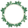 Autumn season watercolor circular frame: colorful green leaves, maple tree branches isolated on white background Royalty Free Stock Photo