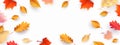 Autumn seasonal background with border frame with falling autumn golden, red and orange colored leaves on white background