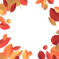 Autumn Seasonal Banner Template. Raster Leaves Illustration