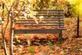 Autumn seasonal colorful background. Bench to relax in silence in tranquility under a tree in a garden in a park with Royalty Free Stock Photo