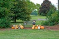 Autumn seasonal display Royalty Free Stock Photo