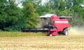 Autumn seasonal harvest of soybean harvesting in a field against a background of green trees close-up. Royalty Free Stock Photo