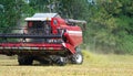 Autumn seasonal harvest of soybean harvesting in a field against a background of green trees close-up. Royalty Free Stock Photo