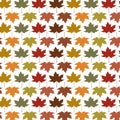 Autumn Seasonal pattern background with colourful Maple leaves Royalty Free Stock Photo