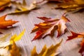 Autumn. Seasonal photo. Autumn leaves loose on a wooden board