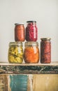 Autumn seasonal pickled or fermented colorful vegetables in jars Royalty Free Stock Photo