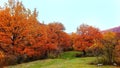 Autumn seasonal scene in Macedonian national park